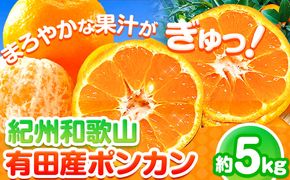 【先行予約】紀州和歌山有田産ポンカン5kg 株式会社魚鶴商店《2025年2月上旬-2月末頃出荷》和歌山県 日高町 ぽんかん フルーツ 柑橘---wsh_utspon_ac2_23_16000_5kg---