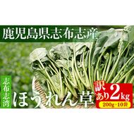 【数量限定・訳あり】志布志湾ほうれん草(計2kg 200g×10袋) a2-081