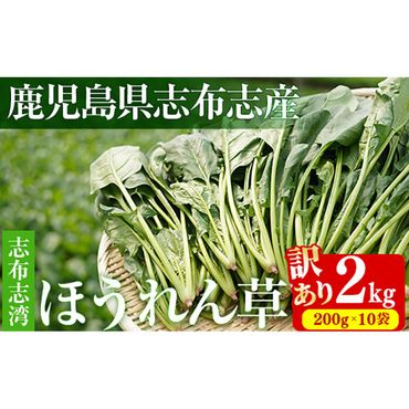 ＜先行予約受付中！R6年12月頃配送予定＞【数量限定・訳あり】志布志湾ほうれん草(計2kg 200g×10袋) a2-081