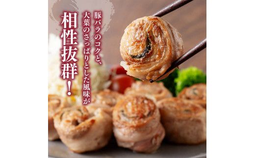 「まるみ豚」宮崎県産豚肉 時短セット【 豚肉 豚 肉 国産 川南町 時短 セット 宮崎県産 】[D11504]