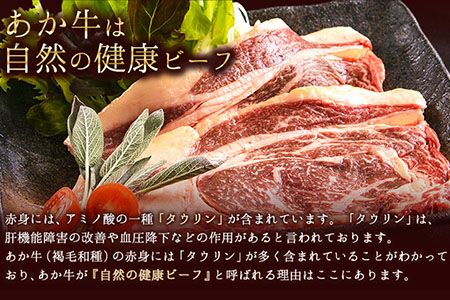  あか牛（褐毛和種）ロースステーキ (リブまたはサーロイン) 250g×2 500g 熊本県産 肉 和牛 牛肉 赤牛 あかうし リブロース サーロイン 冷凍 《2026年1月中旬-3月末頃出荷》---mna_fakstk_bc13_r7_15000_500g---