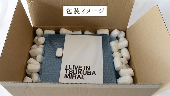 赤いちご と 白いちご の宝石箱 18粒 【令和6年12月から発送開始】（県内共通返礼品：石岡市産） 果物 フルーツ いちご イチゴ 苺 白苺 贈答 ギフト [BI335-NT]