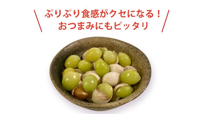 【 2024年産 】 中根さんの「 銀杏 ( ぎんなん ) 」 6袋 旬 おつまみ ギンナン [AM108us]