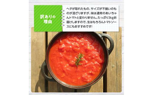 【令和8年発送】【訳あり】宮崎県産トマト　フルーツトマト「あいちゃん」3kg 【 野菜 ミニトマト とまと 宮崎県産 川南町産 野菜 産地直送 新鮮 数量限定 】[C03903]