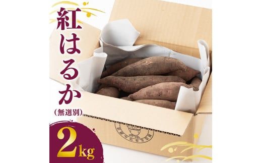 宮崎県産さつまいも　ミネラル栽培「紅はるか」2kg 【 宮崎県産 九州産 いも 芋 サツマイモ 野菜 】[E10402]