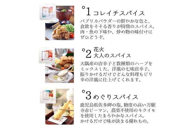 【26737】手羽元のコンフィ＆ミックススパイスのバラエティーセット！【Food＆SpiceSoerwCoco】