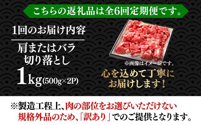 【全6回定期便】【たっぷり大容量！】博多和牛 切り落とし 1000g(500ｇ×2Ｐ）《築上町》【株式会社MEAT PLUS】[ABBP028]