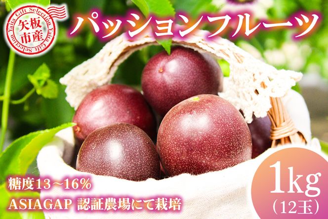 [数量限定／期間限定] 栃木県産パッションフルーツ1kg 南国の香りはじける極上フルーツ！｜先行予約 フルーツ 果物 果実 トロピカルフルーツ スイーツ 国産 [0444]