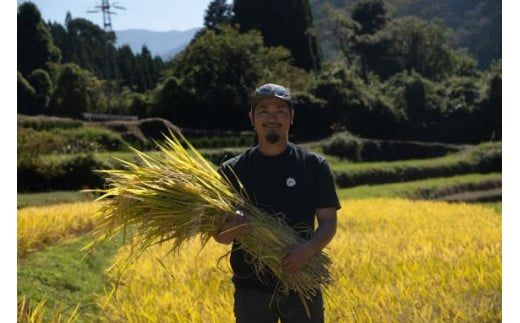 【定期便3ヶ月】【熊本県甲佐町産】天寿米（白米）5kg×3ヶ月 - お米 米 白米 精米 森のくまさん ブランド米 植物性肥料使用 定期便 国産 九州産 熊本県産 熊本県産 甲佐町