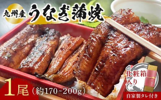 うなぎ 志おや 九州産 鰻 蒲焼 1本 約170〜200g タレ 付 [スピード発送]D-14