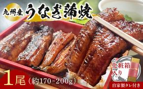 D-14 志おや 九州産 うなぎ 蒲焼 1本 約170～200g タレ 付