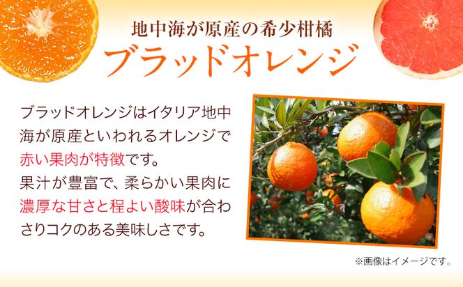 ＜先行予約＞紀州有田産ブラッドオレンジ 約3kg 【ご家庭用】 魚鶴商店《2027年3月上旬-3月下旬頃出荷》 和歌山県 日高町 紀州有田産 オレンジ みかん ご家庭用---wsh_huo7_a4_23_17000_3kg---