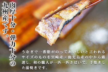 ＜職人手焼き九州産うなぎ 蒲焼き3尾（6切れ）計390g前後＞翌月末迄に順次出荷【c693_sk_x1】
