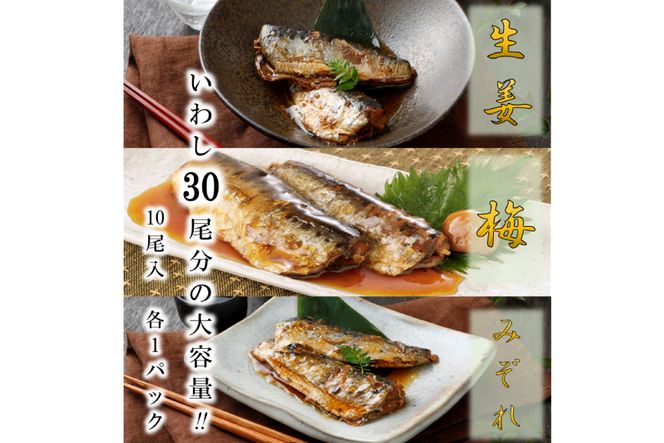 定期便 《12ヶ月連続お届け》 訳あり 業務用 いわし煮魚 (3種×10尾 計30尾入 約1.4kg)×12回 総重量約16.9kg [カネダイ 宮城県 気仙沼市 20563282] 生姜煮 梅肉煮 みぞれ煮