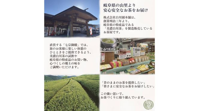 ※美濃白川茶白川茶ほうじ茶ペットボトル500㎖ 24本入り