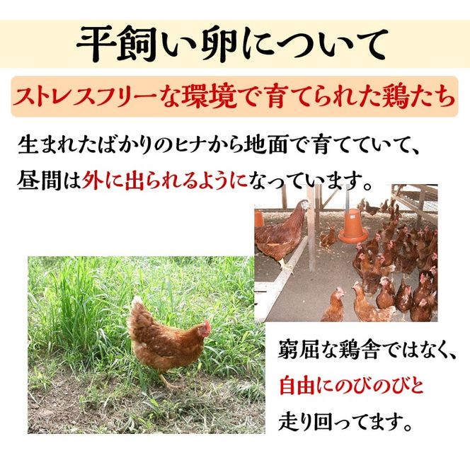 《アスカ有機農園》旬の京野菜セットL(平飼い卵付)