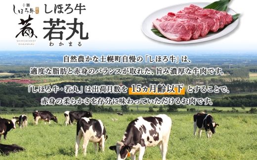 北海道 しほろ牛 サーロイン ステーキ 200g前後 2枚 ＆ しほろ牛 ハンバーグ150g 4個 セット 肉 牛 赤身肉 国産牛 肉 ビーフ 牛肉 冷凍 お取り寄せ 送料無料 十勝 士幌町【L12】