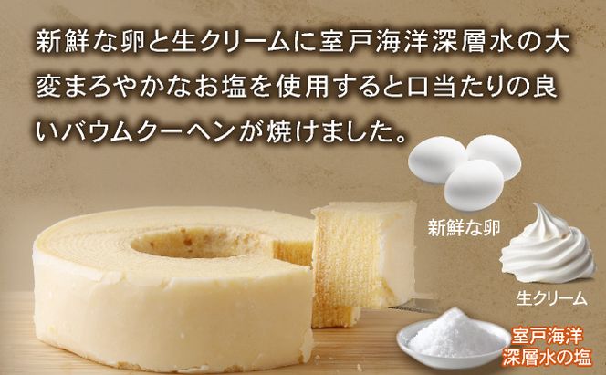 塩バウムクーヘン　si001