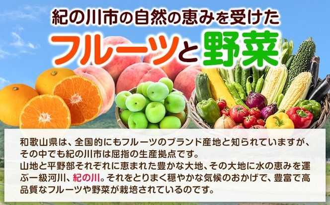 紀の川市の恵み 旬のフルーツ＆野菜セット 計8~10品《30日以内に出荷予定(土日祝除く)》和歌山県 紀の川市 フルーツ 果物 野菜 セット 桃 梅 みかん 新玉ねぎ なす トマト キャベツ---wfn_cwlocal69_30d_25_14000_8_10s---