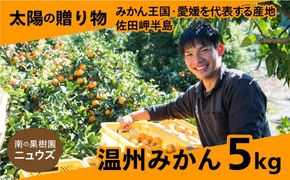 温州みかん（生果）5kg ※2024年11月上旬～12月下旬頃に順次発送予定