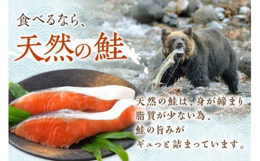 北海道産 新巻鮭（オス）切身セット 5パック ( 海鮮 魚介 魚介類 魚 鮭 サケ さけ しゃけ サーモン 味付き 切身 切り身 甘塩 時短 簡単 真空 パック セット 贈答 贈り物 ギフト プレゼント お中元 御中元 お歳暮 お祝い )【017-0003】