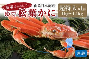 かに卸問屋がお届け・自社釜ゆで！山陰沖ゆで松葉がに 1ｋｇ～1.1ｋｇ 超特大サイズ（11月発送）／北畿水産　HK00315