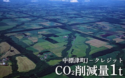 ykCWÒzWÒJNWbgCO2팸1ty38001z