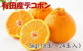 ［お味濃厚］紀州有田産のデコポン約5kg(18玉～24玉入り・青秀以上)★2026年2月中旬頃より順次発送［TM26w］ BZ072