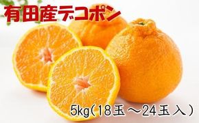 【お味濃厚】紀州有田産のデコポン約5kg(18玉～24玉入り・青秀以上)★2025年1月下旬頃より順次発送    BZ072