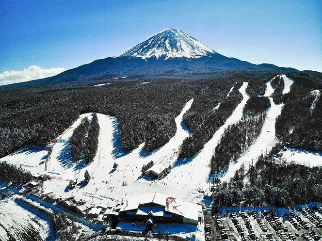 ふじてんスノーリゾート 1日リフト券引換券1枚 2025-2026シーズン FAC009