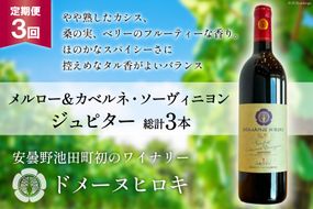 3回 定期便 ワイン メルロー＆カベルネ・ソーヴィニョン ジュピター 750ml×1本 計3本 [ヴィニョブル安曇野(ドメーヌ・ヒロキ) 長野県 池田町 48110602] 赤ワイン 赤 酒 お酒 果実酒 フルーティ