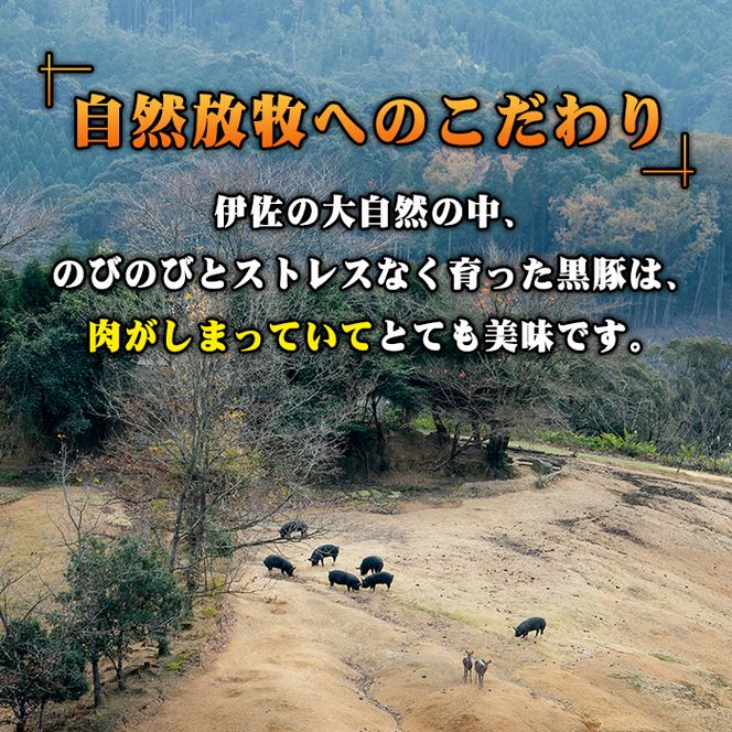 A7-07 沖田黒豚骨付きフランクソーセージ(計1.5kg・500g×3パック) 1本100gもある黒豚肉をふんだんに使用した粗挽きフランクフルト！【沖田黒豚牧場】