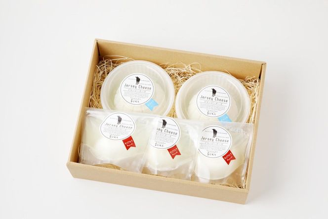 【定期便】ALL JAPAN ナチュラルチーズコンテスト優秀賞受賞／丹後ジャージー牧場の濃厚チーズセット6種（2種×3回定期便）フロマージュ・カチョカバロ・モッツァレラ・リコッタ・ストリング・ゴーダ　TJ00011