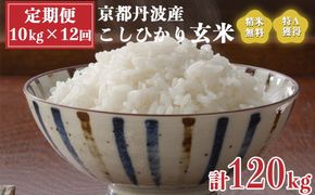 【定期便】米 令和5年産 京都 丹波産 こしひかり 玄米 10kg（5kg×2袋）12回 計120kg｜5つ星お米マイスター 厳選 受注精米可 隔月発送も可 ※離島への配送不可