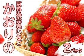 【先行予約／数量限定】京都丹後産 完熟いちご（かおりの） 2パック（2026年3月中旬～発送）　国産 いちご イチゴ 苺 ストロベリー すとろべりー フルーツ ふるーつ 果物 くだもの 農家応援 生産者応援 AM00667