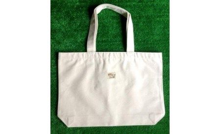 野菜たっぷりバッグ [AE10-NT]