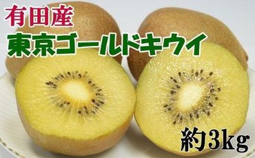 【数量限定】キウイフルーツの新品種「東京ゴールドキウイ」約3kg（サイズ混合）★2024年12月中旬頃より順次発送  BZ091