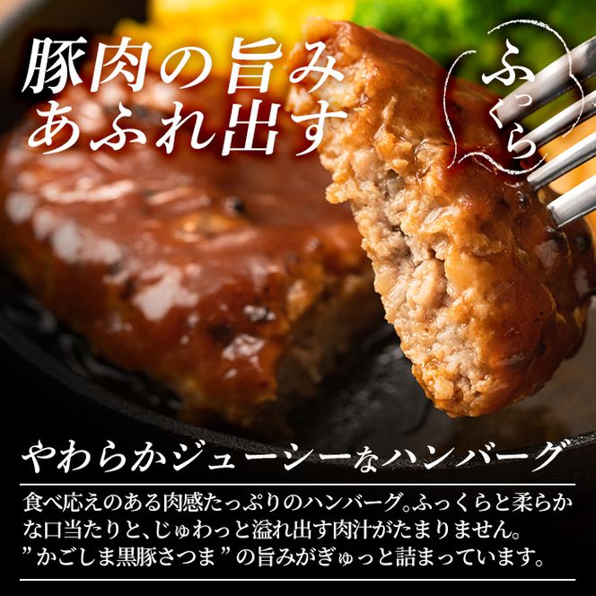 a563 「かごしま黒豚さつま」デミグラスハンバーグ1.5kg(150g×10パック)【AKR Food Company】姶良市 ハンバーグ デミソース 国産 鹿児島県産 肉 豚 豚肉 総菜 おかず 温めるだけ 湯煎 簡単 冷凍 個包装 小分け