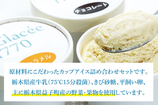 AB003【定期便】無添加アイスクリーム季節の味3種と定番7種セット（年3回：4月・8月・12月）