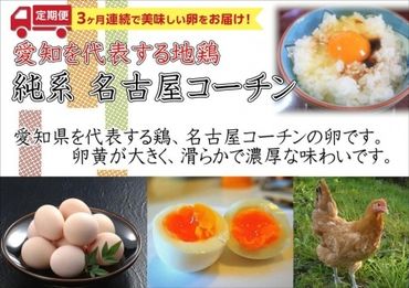 【3か月定期便】日本三大地鶏！！ 「純系　名古屋コーチンの卵」（30個）　本当に美味しい食べ物は調味料の味に負けません！air