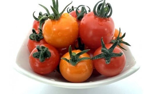【ミニトマト約25個分をぎゅっと詰め込んだ】和ちゃん農園のトマトジュース(180ml×8本)【0tsuchi00401】