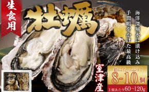 牡蠣 プレミアムオイスタ― 殻付き 国産 旅する牡蠣 室津 8～10個入り 室戸海洋深層水 生食用 生食 生ガキ 生食用カキ カキ 牡蠣 かき 魚貝類 冷蔵 先行予約 10000円 1万円 送料無料　ak003!