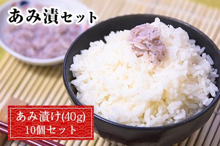 あみ漬 10個セット 内野海産[45日以内に出荷予定(土日祝除く)]---sn_cuchiami_45d_r7_10000_10p---
