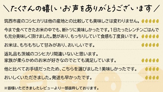 茨城県 筑西市産 コシヒカリ 15kg （ 5kg × 3袋 ） 三ツ星 マイスター 米 コメ こしひかり 単一米 精米  [CH013ci]