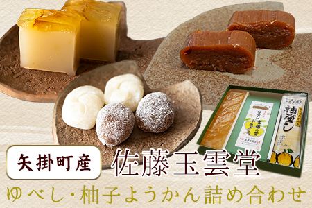 ゆべし・柚子ようかん詰め合わせ 佐藤玉雲堂 岡山県矢掛町 柚子 ようかん 和菓子 スイーツ デザート[30日以内に出荷予定(土日祝除く)]---osy_satoybyz_30d_24_13500_3i---
