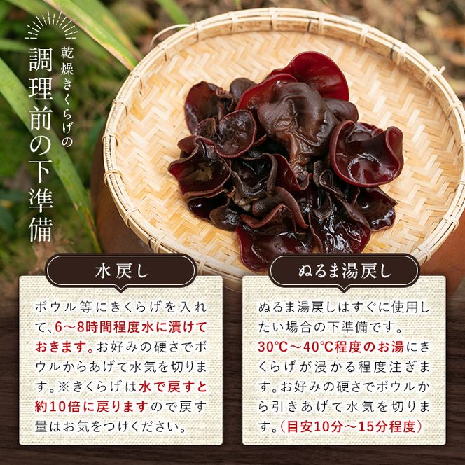 a745 国産乾燥きくらげ計60g(20g×3袋)【姶良のアグリM～】