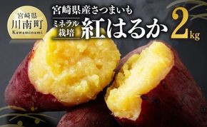 宮崎県産さつまいも　ミネラル栽培　紅はるか 2kg 【 宮崎県産 九州産 いも 芋 サツマイモ 野菜 】[C10401]