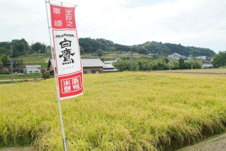 M-49 白鷹　吟醸純米 超特撰白鷹1.8L　1本入