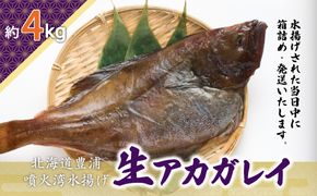 北海道 豊浦 噴火湾 水揚げ 生アカガレイ 約4kg TYUO078