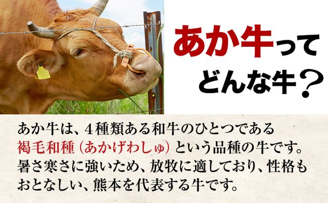 肥後のあか牛 すき焼き用 500g 1000g 株式会社KAM Brewing《90日以内に出荷予定(土日祝除く)》---so_fkamhgsk_90d_23_15500_500g---